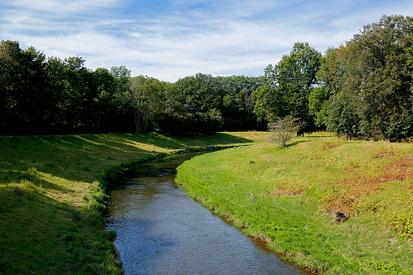 Nahle im Auwald Die Nahle im Leipziger Auwald